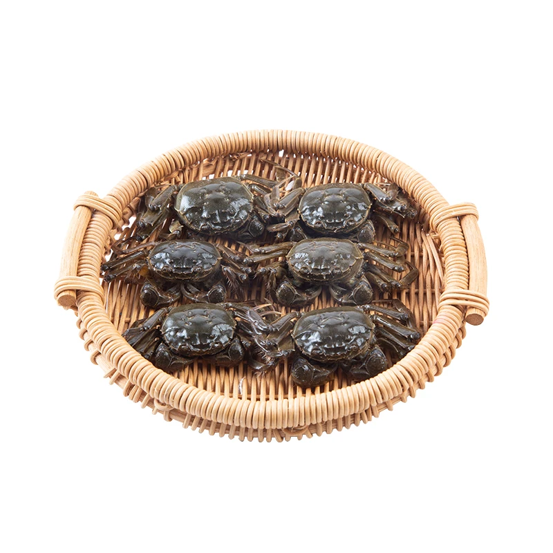（鲜活）大闸蟹-六月黄6只/组（约240-300g）