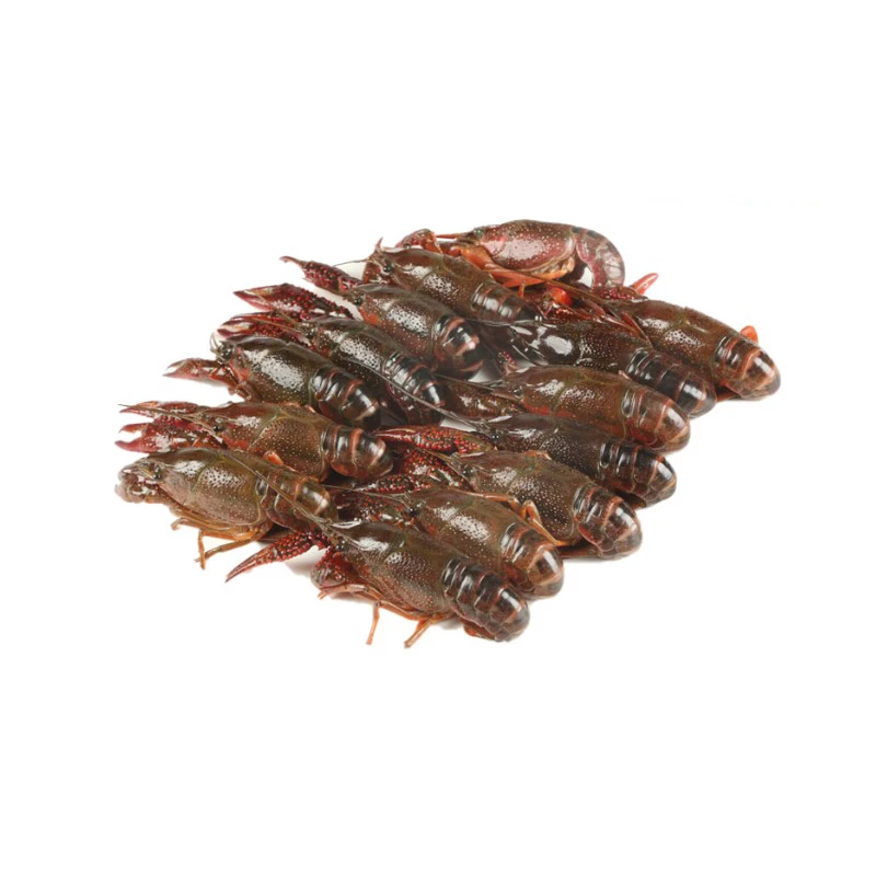 小龙虾中号1.5kg/份(16-30g/只)  小龙虾同城