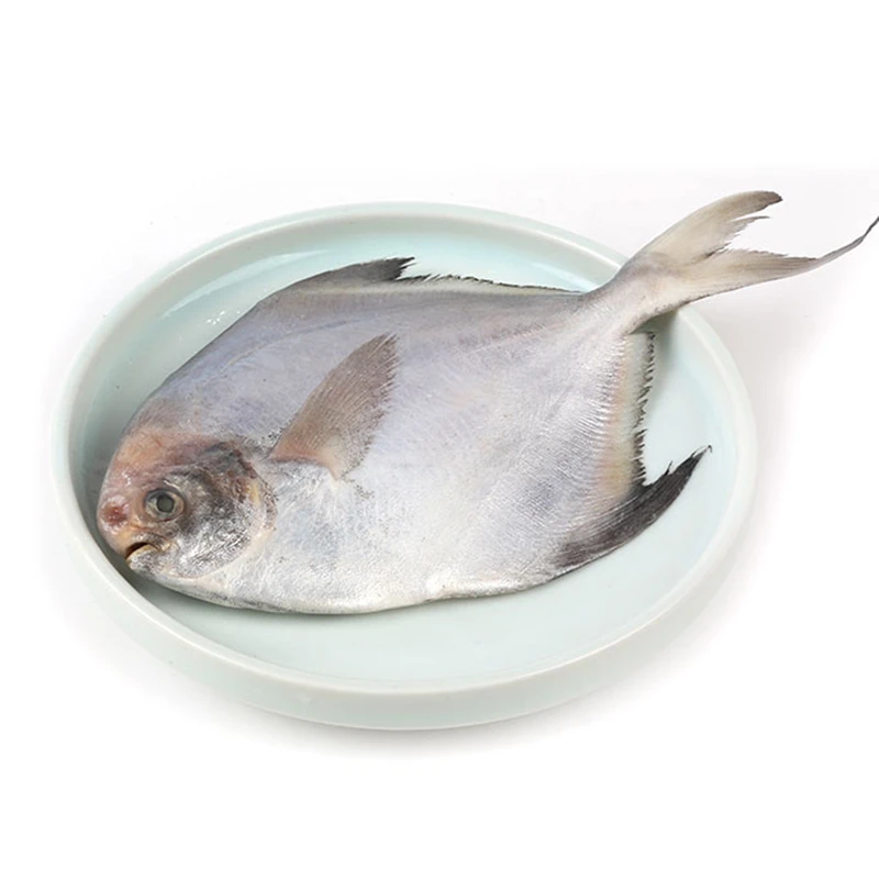 冰鲳鱼75-100g/条