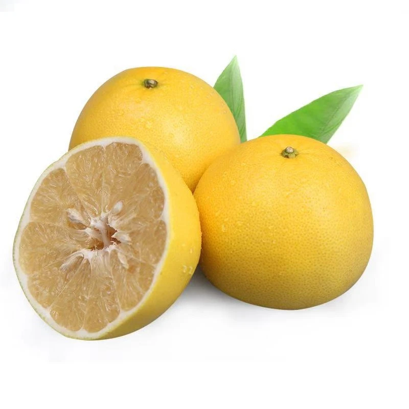 福建葡萄柚2个装700g