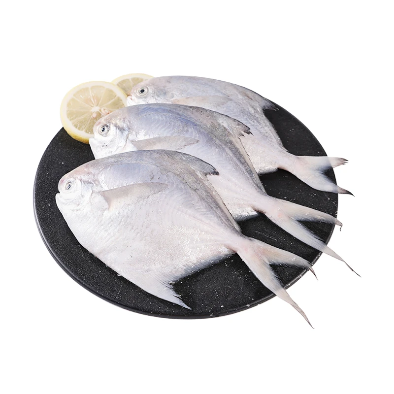 【热气货】冰鲜鲳鱼3条装(75-100g/条)