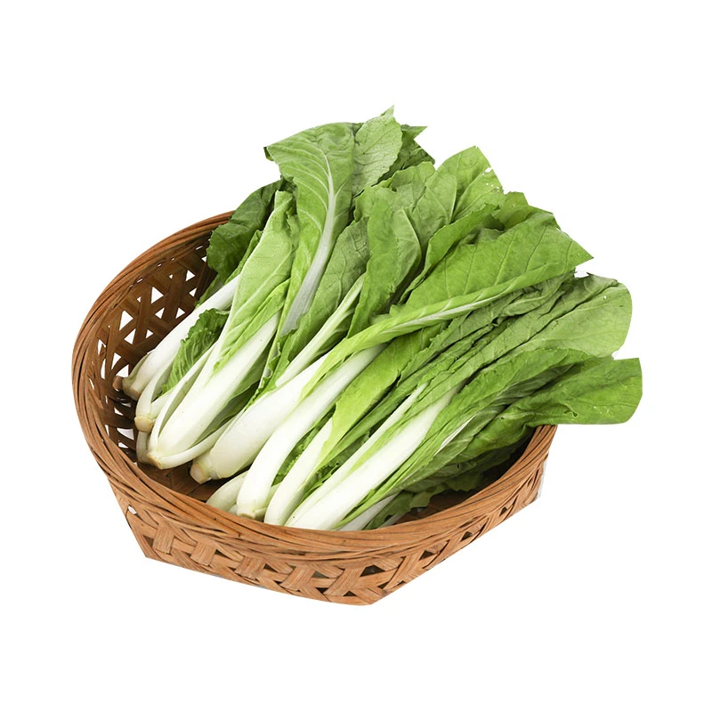 【本地鲜】快菜300克/份