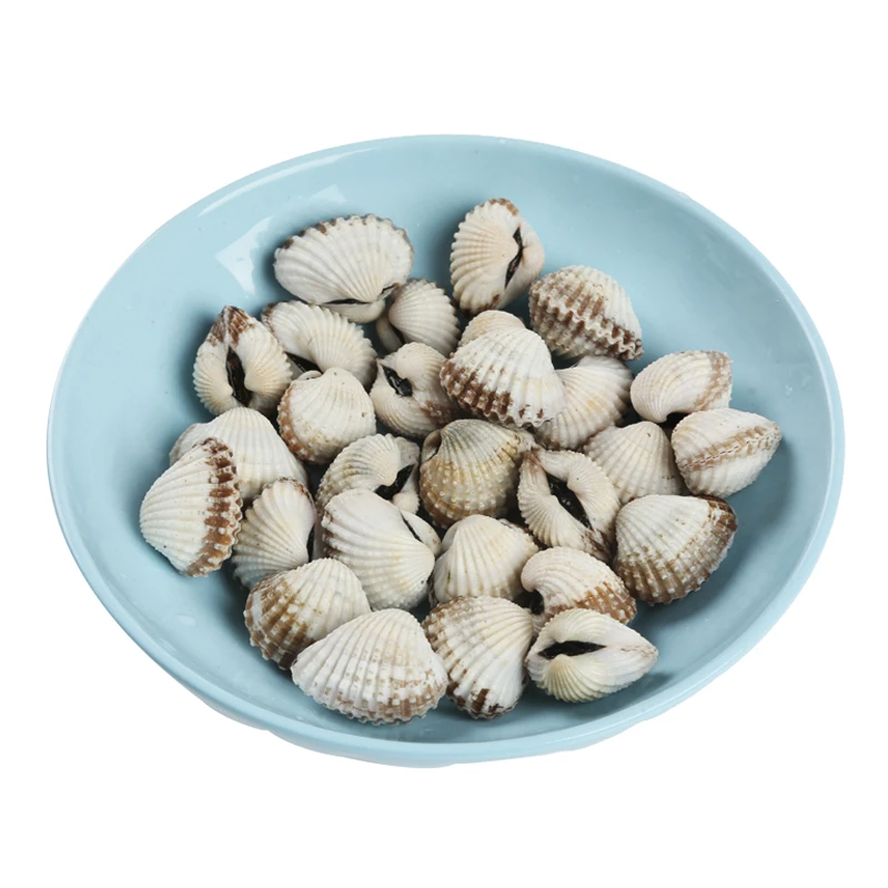 鲜活 血蛤(约20-25只/份)（称重）