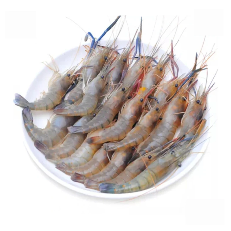 鲜活 沼虾（罗氏虾） 380克/份 约21-25只罗氏虾同城