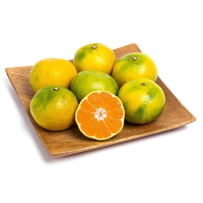 蜜桔350g(果径约55mm)