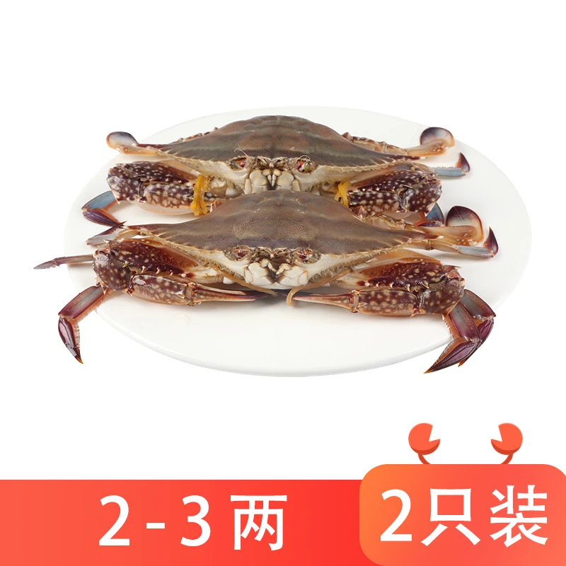 鲜活梭子蟹2只/组(100-150g/只)梭子蟹同城