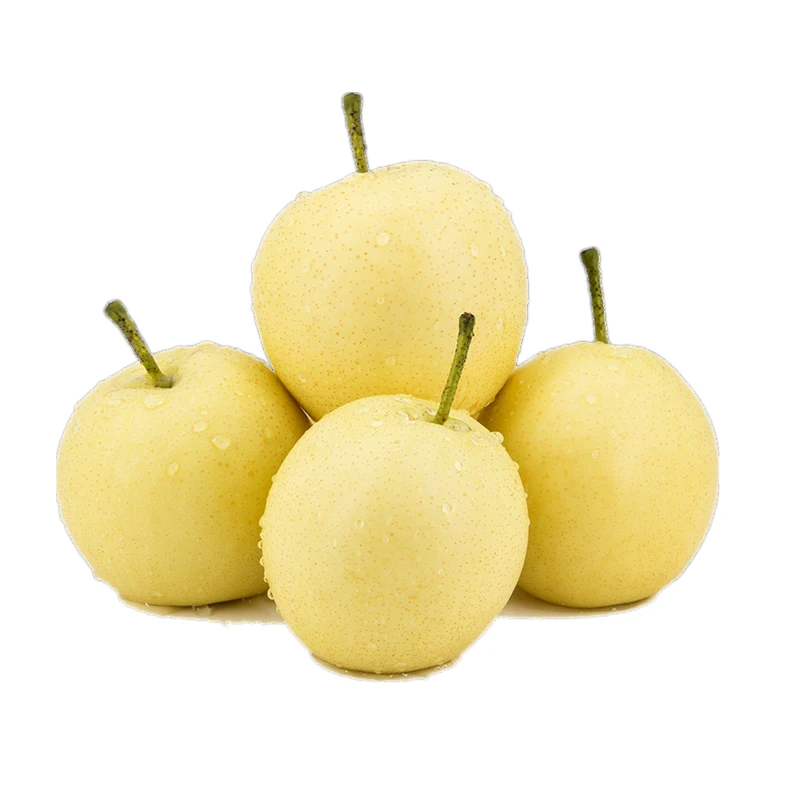 【大果】贡梨4粒装1.4-1.6kg(单果约350g+)