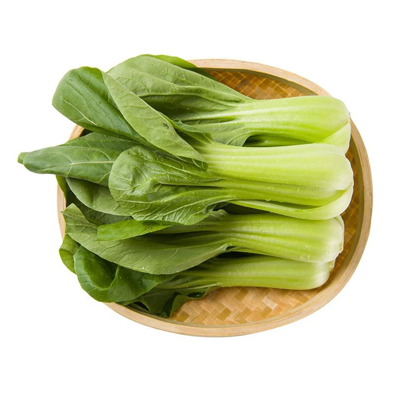 天天鲜油菜300g/份