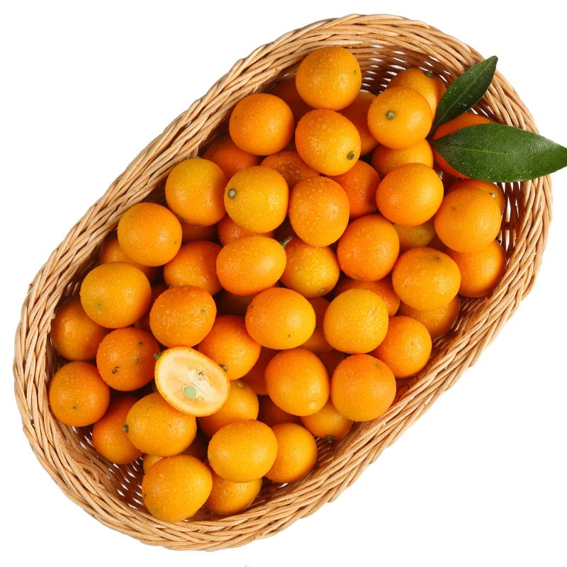 金桔480-530g/盒（单果12g+）