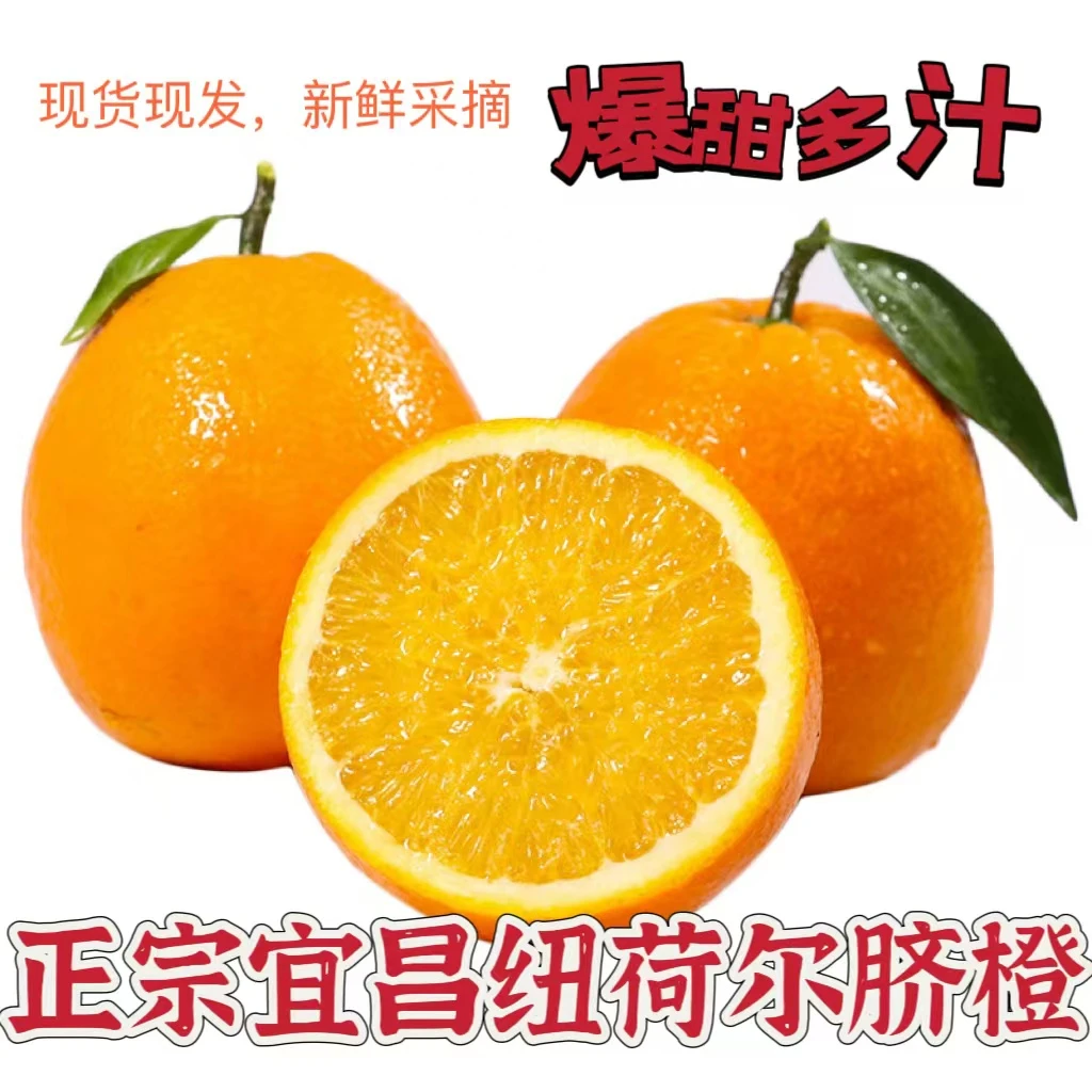宜昌纽荷尔脐橙5、9斤香甜应季新鲜水果。只做当季，做的就是口碑