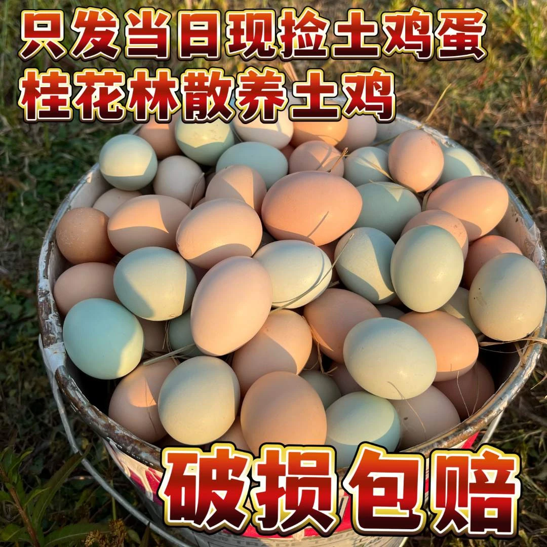 桂花林散养土鸡蛋农家跑步鸡营养生态蛋孕妇宝宝推荐月子新鲜