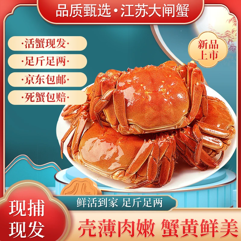 江苏大闸蟹精品大闸蟹2.3-2.0两全母蟹10只 冷链包邮