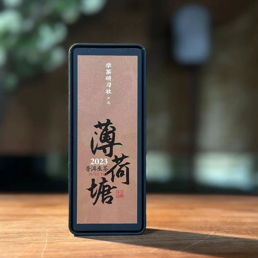 [学茶严选]岁月知味—2023年薄荷塘古树春茶 普洱（生茶）*16g