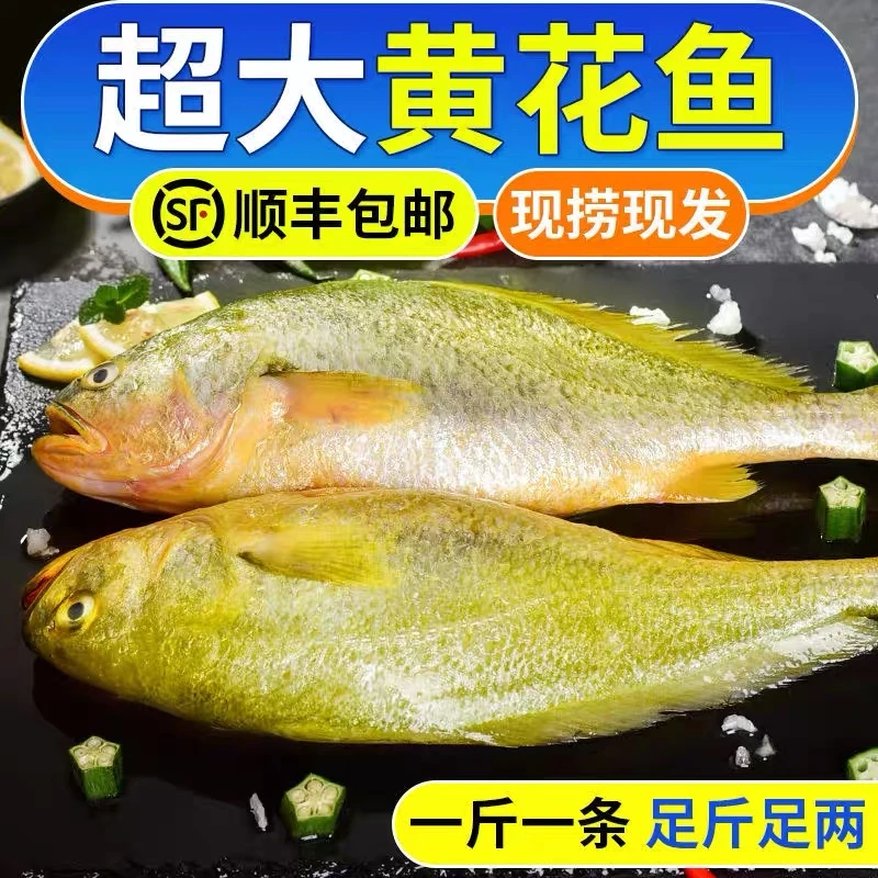 清渤海湾海鲜梭子蟹