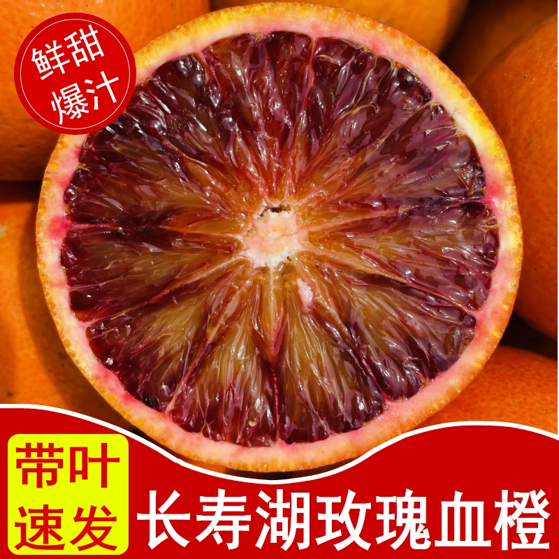 新鲜现摘重庆长寿湖塔罗科玫瑰血脐橙快递发货皮薄香甜大果种植