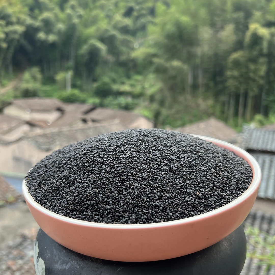 高山 农家 兰香子 1