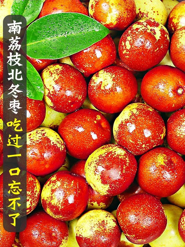 【开依】陕西大荔冬枣新鲜5斤枣子当季水果甜脆鲜枣青大红枣东枣整