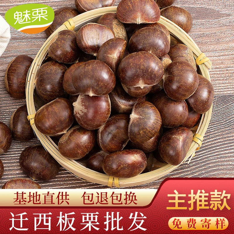 【开依】魅栗 迁西板栗批发河北313板栗生新鲜油栗糖炒3113栗子100