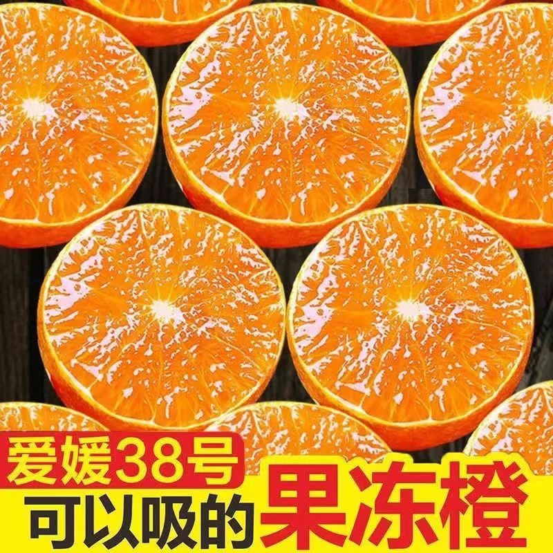 【进取】爱媛果冻橙38号四川眉山浦江脐橙甜橙冰糖橙多汁绵软新鲜当