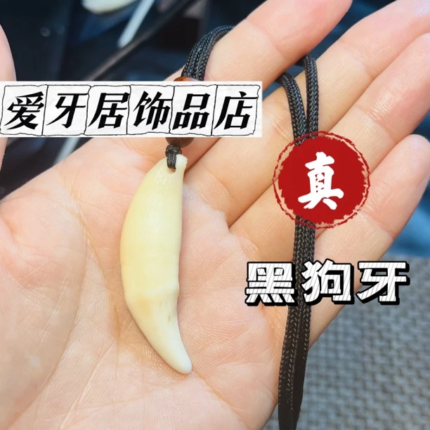 【5.5cm】真黑狗牙文玩饰品把玩件男大獒牙女挂坠狗牙齿儿童