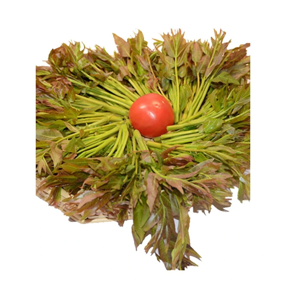 香椿芽新鲜香春芽菜顺丰现货头茬香椿芽叶四川红油香椿头山东