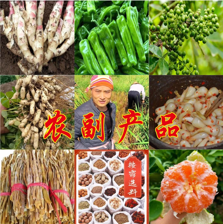 （外婆家在乡村）新鲜农副产品时令农家蔬菜现摘现发散装1斤