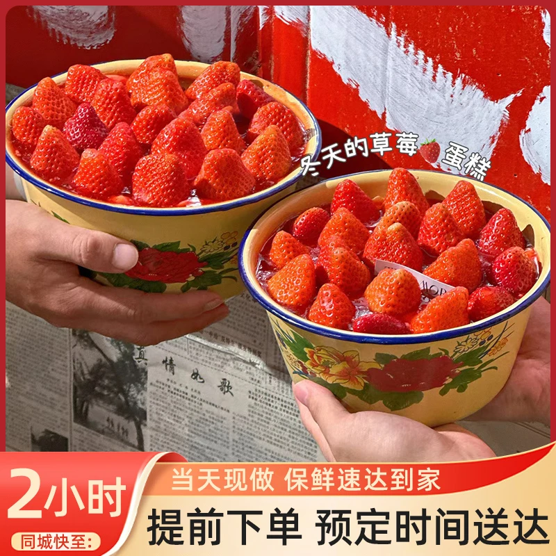 【同城配送】创意搪瓷盆草莓生日水果蛋糕猪美味油缸蛋糕网红定制款