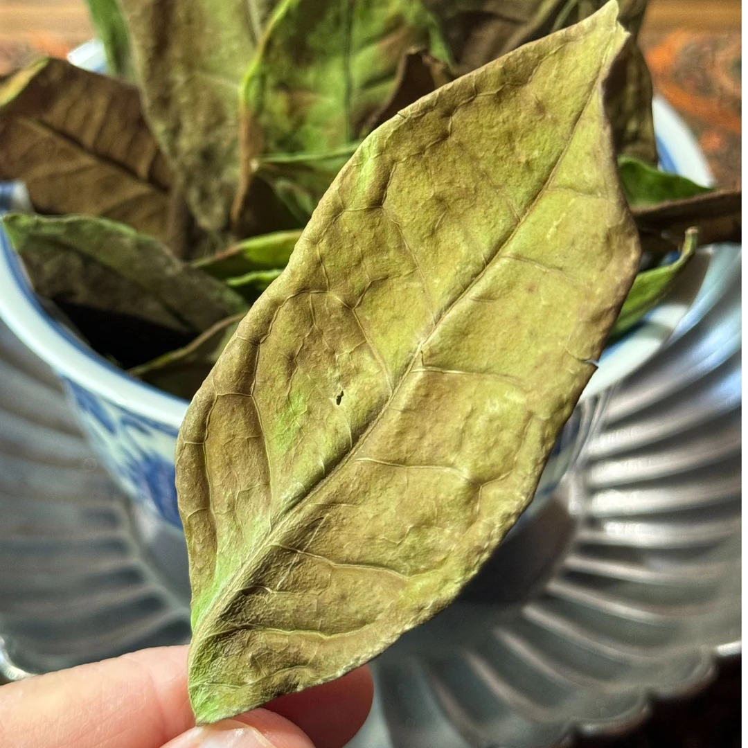 2024年料山全生态老枞大叶散茶 福鼎白茶管阳料山【拆封不退】