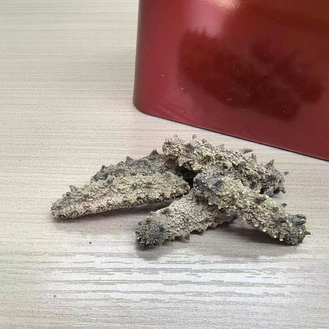 日晒小头底播深海辽参150-170/斤純淡幹500g/250g