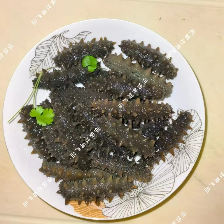 【高营养】半干肉厚纯大连满天星海参30头/斤500G底播海区海参