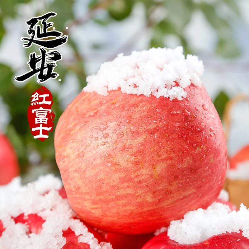 【果王】红富士苹果陕西甘洛脆甜可口陕果集团中果10斤