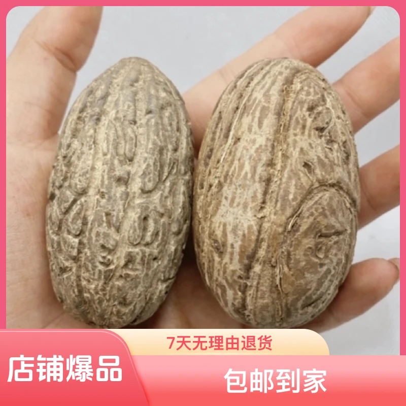 千眼菩提中大果手工工艺品包邮到家