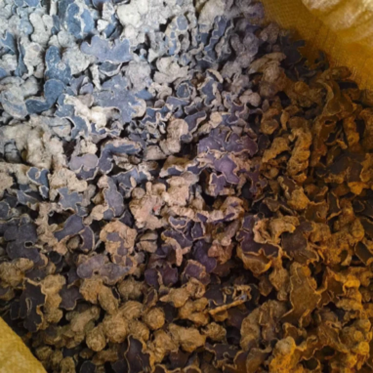 SS【土特产】金边黑大/参 净含量250g-500g