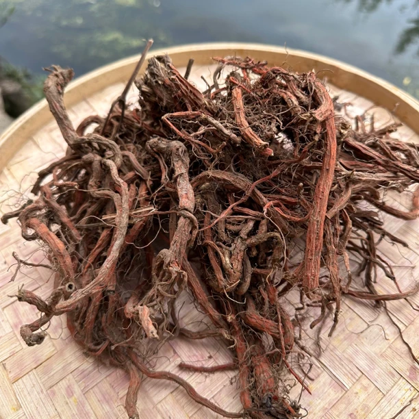 (艳子专属）【血丹参】净含量500g
