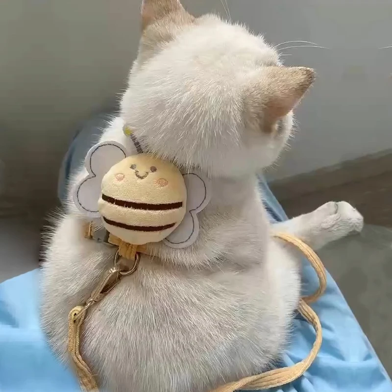 猫咪牵引绳外出专用溜猫绳防挣脱狗狗牵引绳可调节胸背带宠物用品