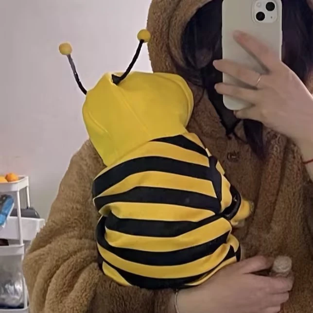 搞怪猫咪衣服春秋款蓝猫小蜜蜂卫衣狗狗小型犬猫咪防掉毛透气衣服