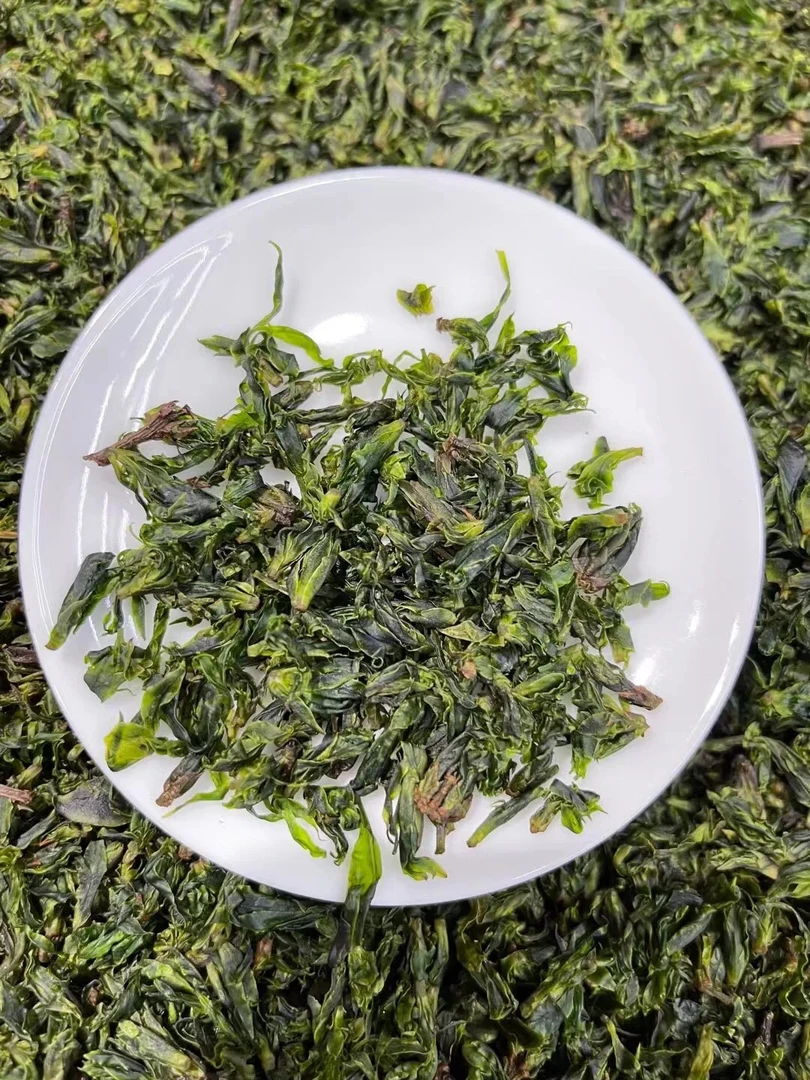 小叶苦丁茶2024年新茶苦丁茶青山绿茶四川特产茶叶嫩芽头毛冬青