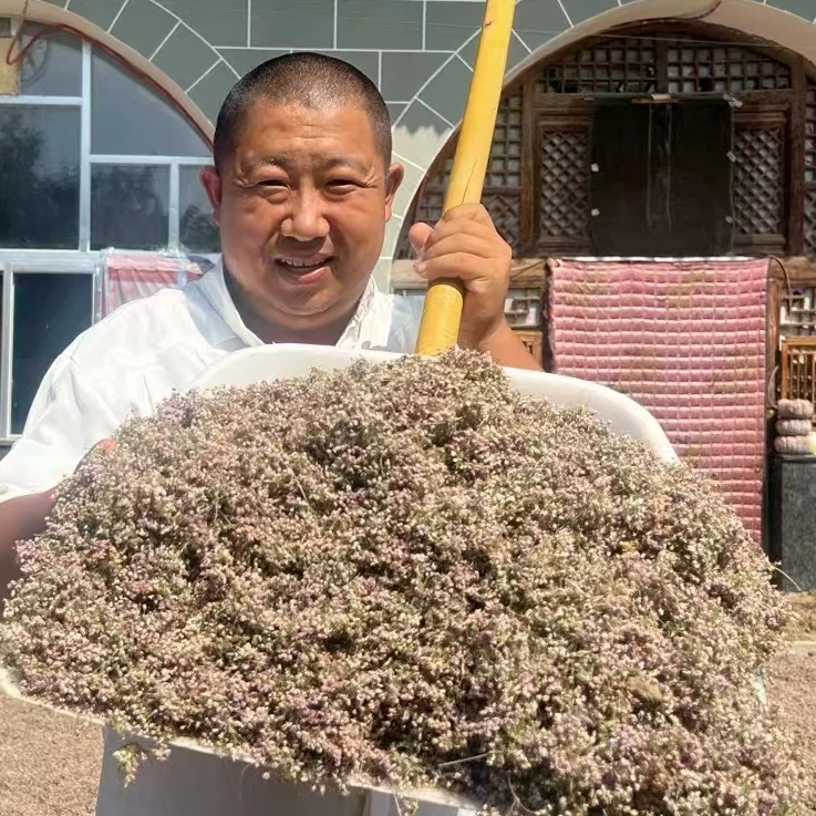 (众)泽蒙花 陕北葱类调料 25克/罐包邮