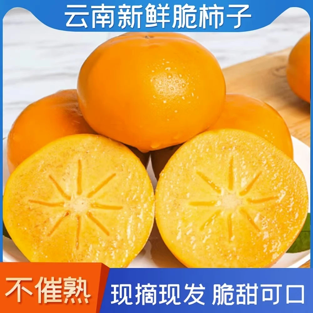 云南脆柿子5斤巧克力新鲜甜脆柿子冰糖甜脆柿子正宗新鲜水果柿子