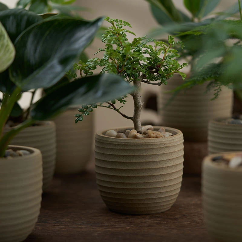 【厂家直销】网红ins风小众复古花盆陶盆懒人防辐射桌