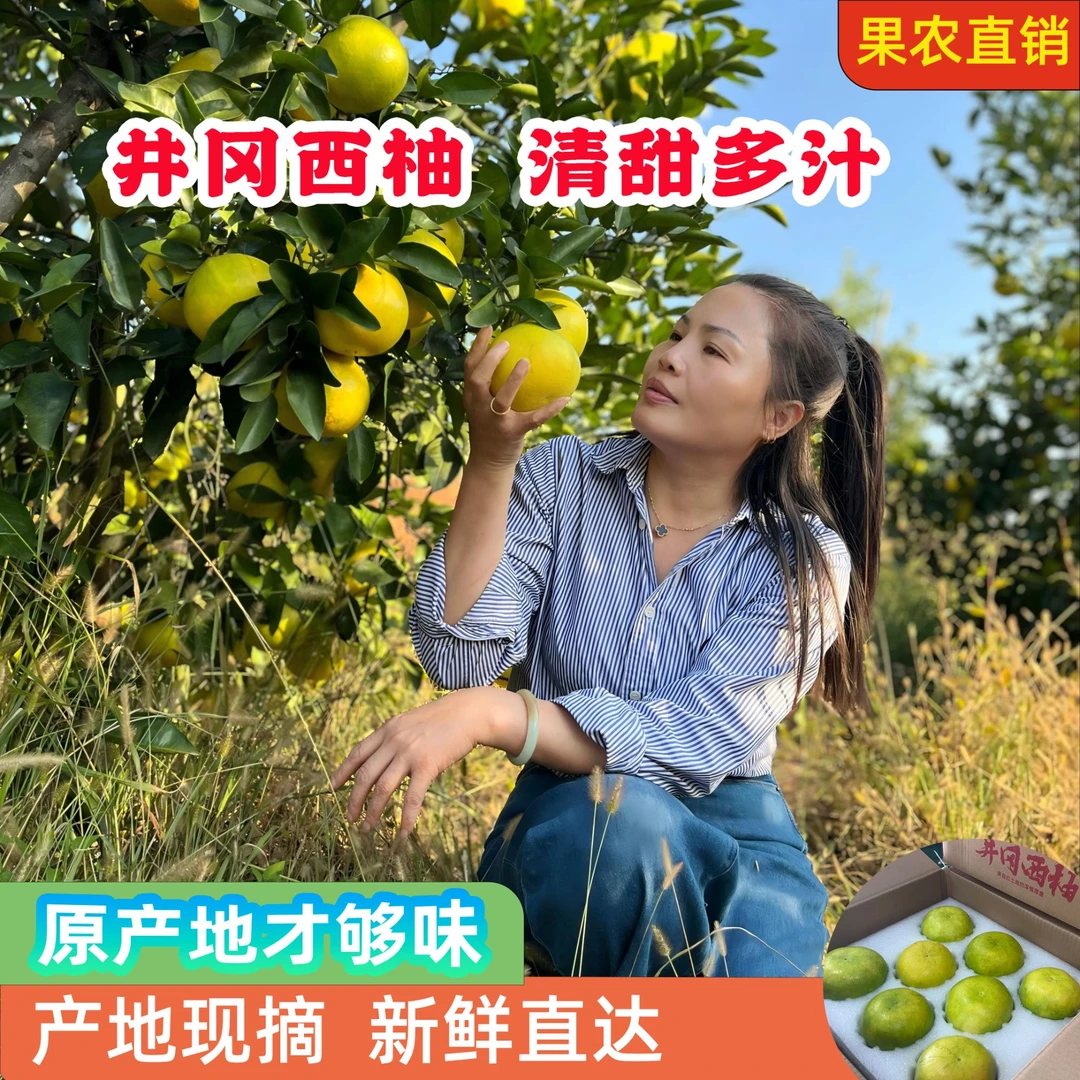 【精品】江西井冈西柚10斤新鲜大果清甜多汁（含包装）