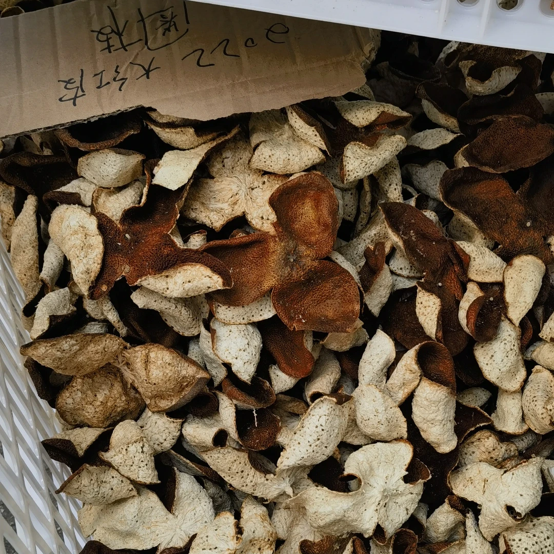 2022年梅江圈枝大红皮正宗广东新会陈皮泡水陈皮陈皮干货老陈皮