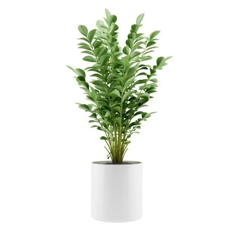 盆景素材绿植直播间捕蝇草龟背竹发财树捕蝇草盆栽老鸦柿碎冰喷泉