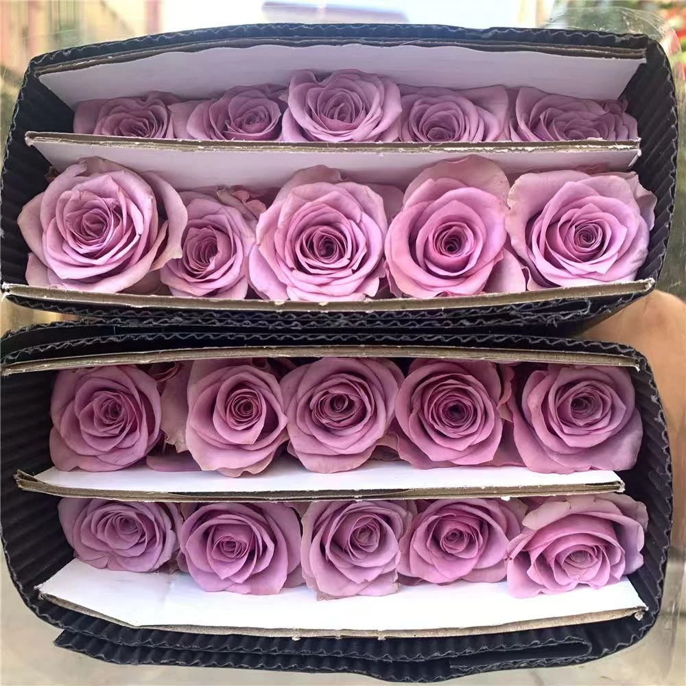 【紫玫瑰】店铺福利 店铺买满2单包邮  5单送配草