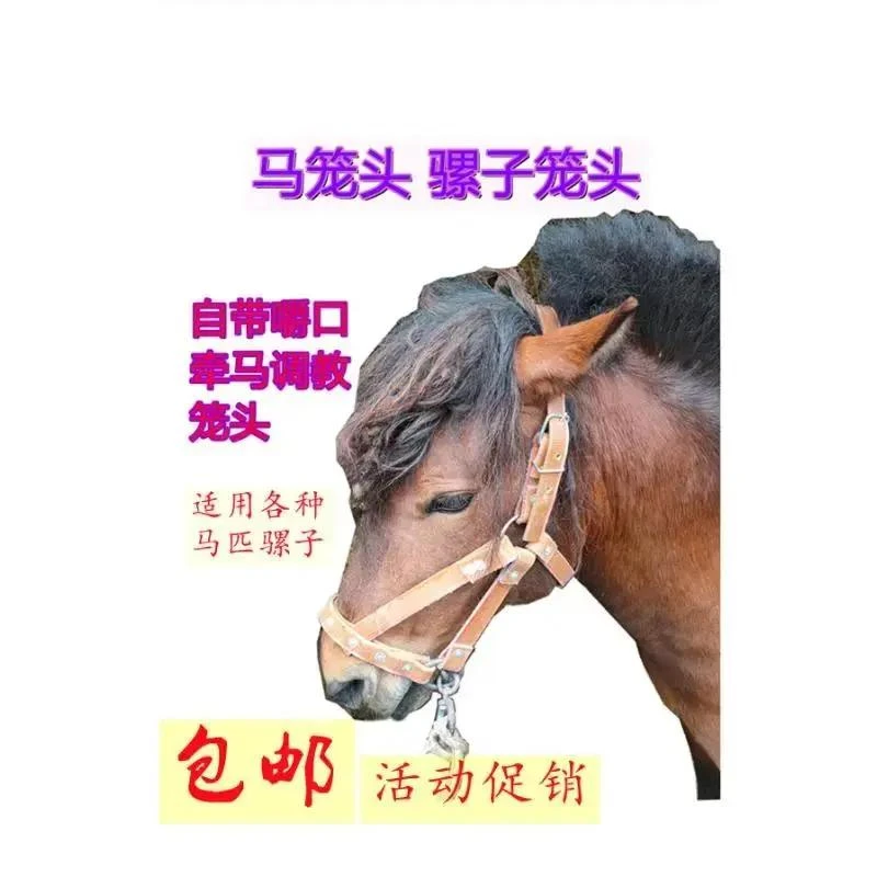 调教马龙头全套马术马具用品马笼头马笼套自带嚼子水乐马龙套牵马
