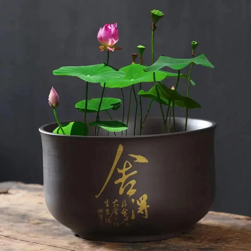 陶瓷水培铜钱草花盆无孔水养睡莲碗莲盆缸紫砂大号荷花缸莲花专用