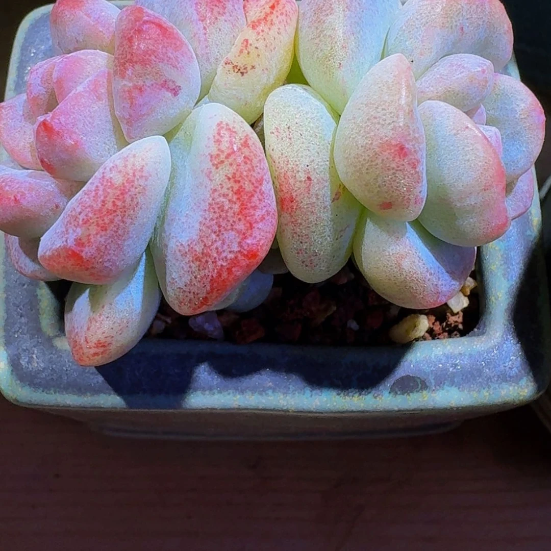 【闪购商品】暖*两