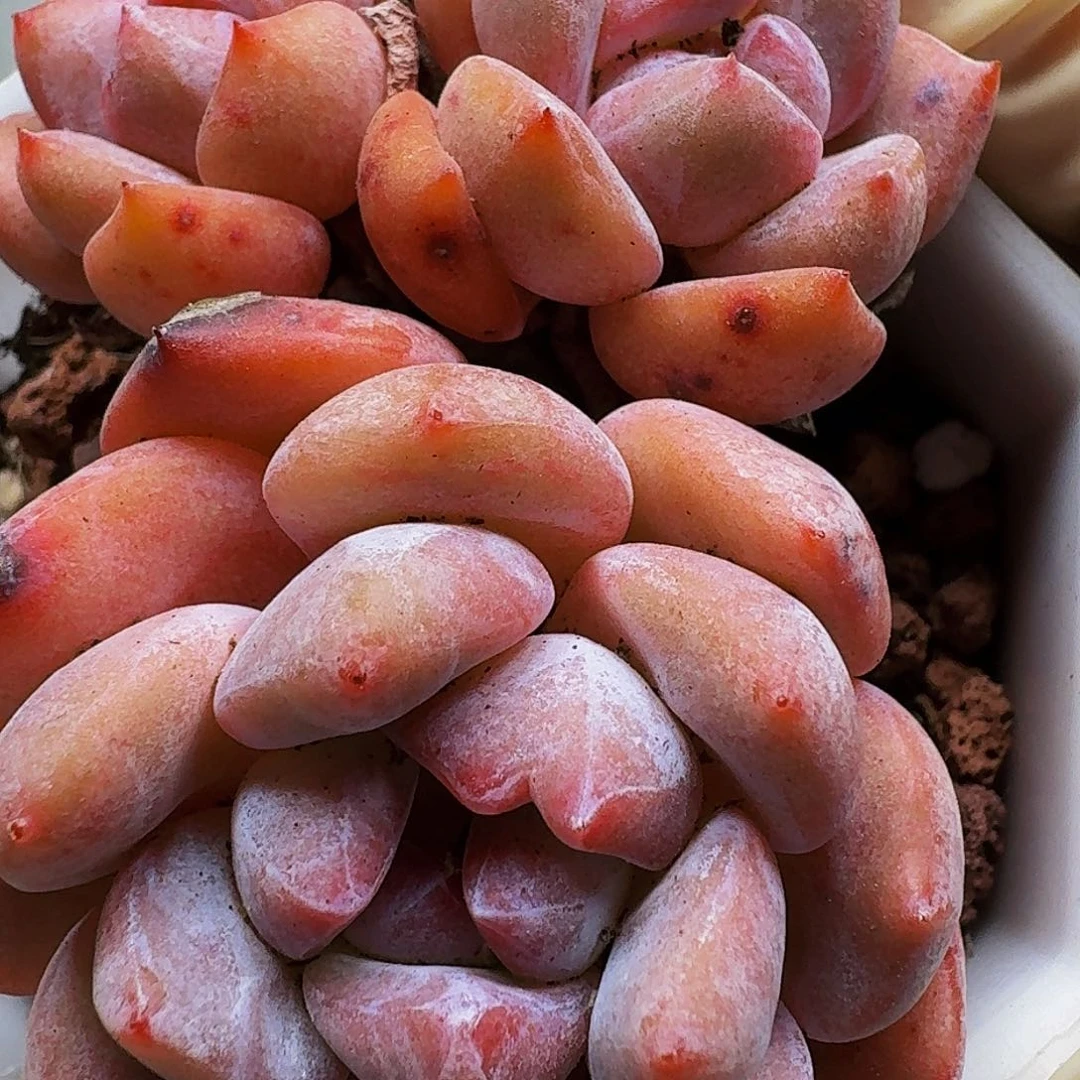 ?**贼哈哈哈哈哈哈哈哈哈