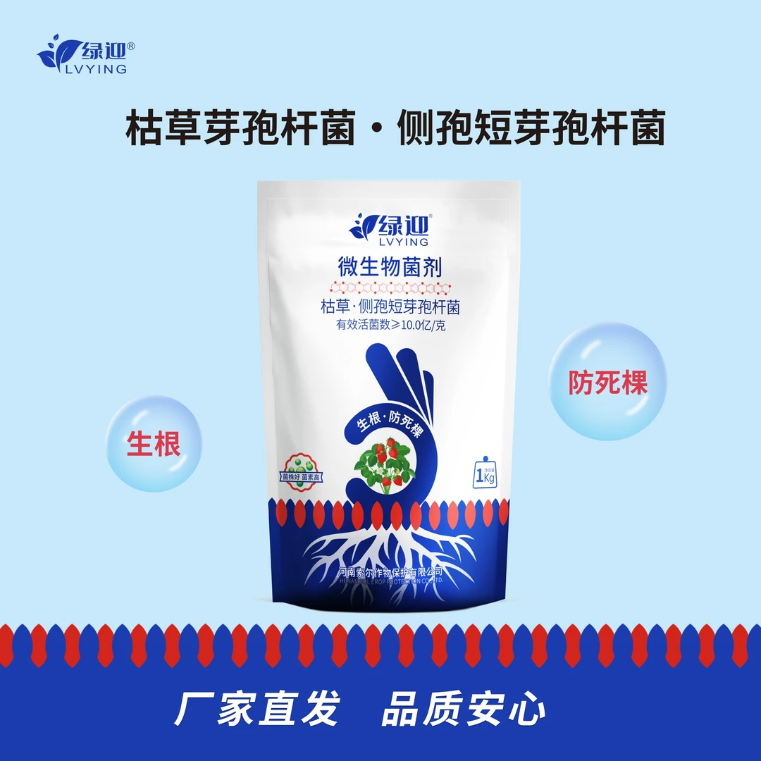 绿迎枯草芽孢杆菌活菌草莓辣椒番茄专业生根缓苗防根腐微生物菌剂