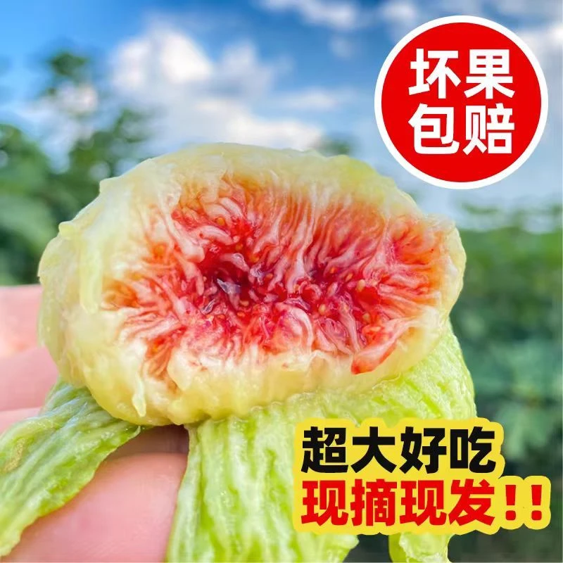 【顺丰空运】山东威海青皮无花果新鲜应季水果软糯香甜整箱批发